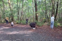 樹海ネイチャーツアー