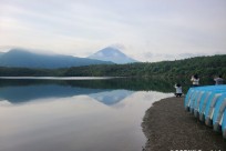 樹海ネイチャーツアー
