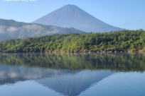 樹海ネイチャーツアー