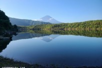 樹海ネイチャーツアー
