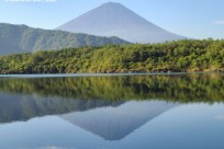 樹海ネイチャーツアー