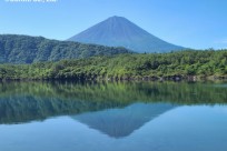 樹海ネイチャーツアー