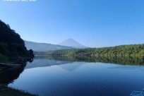 樹海ネイチャーツアー