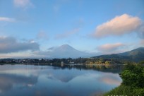 樹海ネイチャーツアー
