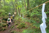 樹海ネイチャーツアー