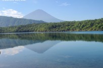 樹海ネイチャーツアー