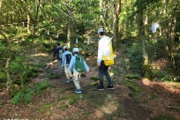 樹海ネイチャーツアー