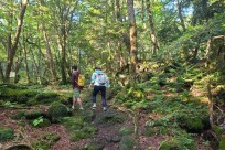 樹海ネイチャーツアー