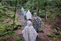 樹海ネイチャーツアー