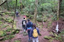 樹海ネイチャーツアー