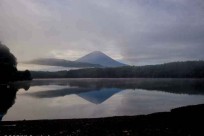 樹海ネイチャーツアー