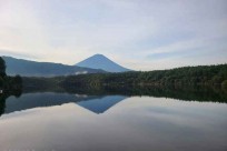 樹海ネイチャーツアー