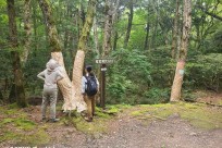樹海ネイチャーツアー