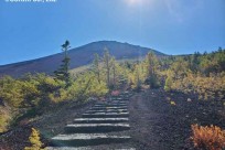 愛知県F中学校様「五合目ネイチャートレイル」