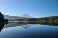 樹海ネイチャーツアー
