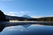 樹海ネイチャーツアー