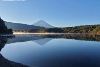 樹海ネイチャーツアー