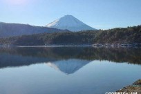 立教大学社会学部様「樹海ネイチャートレイル」