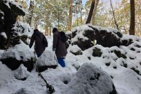 樹海ネイチャーツアー