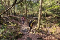 樹海ネイチャーツアー