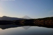 樹海ネイチャーツアー