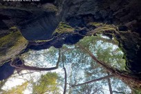 樹海ネイチャーツアー