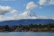 樹海ネイチャーツアー