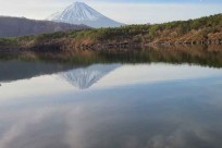 樹海ネイチャーツアー