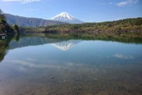 樹海ネイチャーツアー
