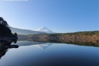 樹海ネイチャーツアー