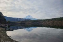 樹海ネイチャーツアー