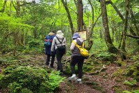 樹海ネイチャーツアー