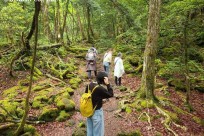樹海ネイチャーツアー