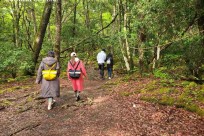 樹海ネイチャーツアー