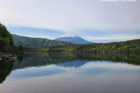 樹海ネイチャーツアー