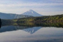 樹海ネイチャーツアー