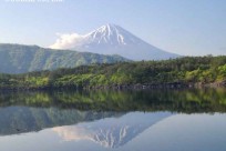 樹海ネイチャーツアー