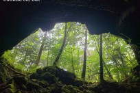 樹海ネイチャーツアー