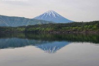 樹海ネイチャーツアー