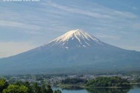 樹海ネイチャーツアー