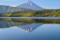 樹海ネイチャーツアー