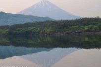 樹海ネイチャーツアー