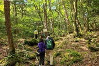 樹海ネイチャーツアー