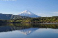 樹海ネイチャーツアー