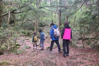 樹海ネイチャートレイル