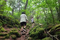 樹海ネイチャーツアー