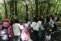 立教大学社会学部石井ゼミ様富士山フィールドワーク