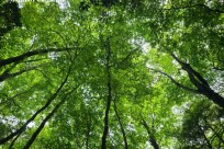 プライベートツアー