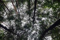 文教大学国際学部様