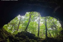 樹海ネイチャートレイル